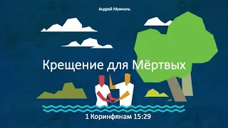 Крещение для мертвых (1 Кор 15.29). Андрей Мужчиль