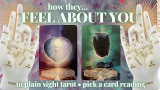 PICK A CARD: HOW THEY FEEL ABOUT YOU