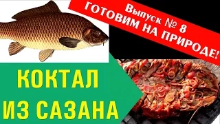 Лучшее блюдо из сазана (рецепт и технология)