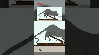 7 horrifying mousetrap  PART 1 | AMF