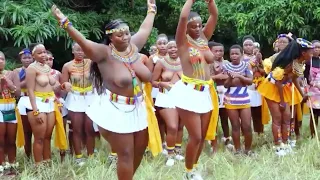 African Reed Dance in Eswatini