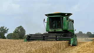 John Deere 9500 Combining 2023 Wheat