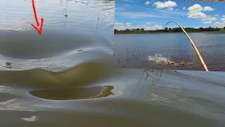 Tem que ter o coração forte para fisgar esses Pirarucu na varinha de bambu Pescaria caipira