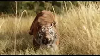 Jungle Book - Official Trailer #1