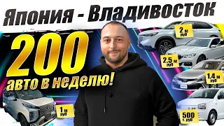 Прямые поставки авто из ЯПОНИИ❗VEZL-2022❗BMW 7❗MARK-X❗LEXUS❗200 авто на стоянке❗