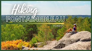 FONTAINEBLEAU FOREST HIKING | Swing on top of the Mountains? | Coleen Fabi