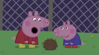 Peppa Pig Learns About Nocturnal Animals!