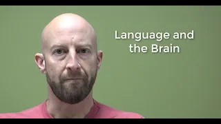 Psycholinguistics: Language and the Brain