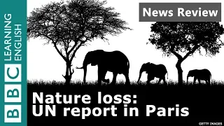 Nature Loss: UN Report in Paris: BBC News Review