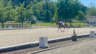 USDF First level test 3, 66.5%