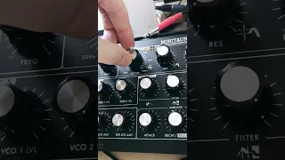 Moog Minitaur