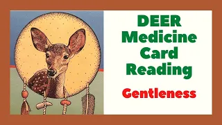 Deer Medicine Card Reading - Gentleness | Native American Spirituality