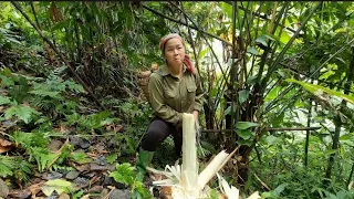 On today's journey, Duong went to pick bamboo shoots and banana trees