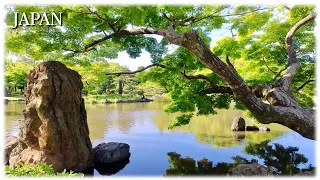 Relaxing Music in a Beautiful Japanese Garden - Sleep, Yoga, Study and Stress Relief Music