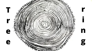 Tree ring print from a Linden tree