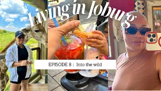 Ep. 8 Into the wild || feeding giraffes, home decor & everyday living in Johannesburg | vlog