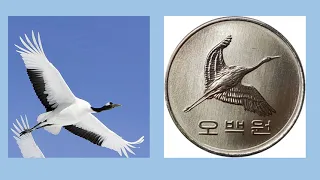 South Korean 500 won coin carry the image of Manchurian crane