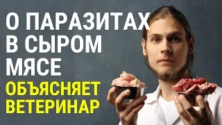 Как организм кошек и собак защищён от бактерий и паразитов? Объясняет ветеринар Дмитрий Русаков.