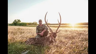 Spot and Stalk Hunting In Texas for GIANT Axis Deer