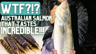 Fishing For AUSTRALIAN SALMON (Catch And Cook)