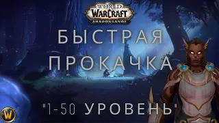 Быстрая прокачка WOW Shadowlands 1-50 уровень