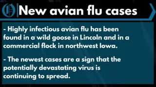 Avian flu discovered in Lincoln, northwest Iowa