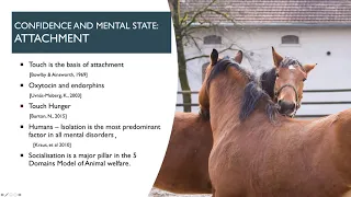 Andrew McLean - Biomechanics & Brain Function in the Dressage Horse: What Riders Need to Know