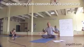 Фрагменты онлайн-семинара Андрея Сидерского по Yoga23
