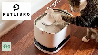 Cat Water Fountain | Petlibro Battery Operated Water Fountain