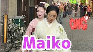 初めて見る舞妓さんに外国人観光客もビックリ‼️Maiko Kyoto🇯🇵Japan