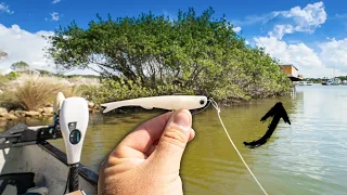 Snook SMASHED the NLBN Mini Mullet All Day Long!