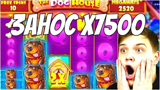 Dog House Megaways занос х7500. Как это было!