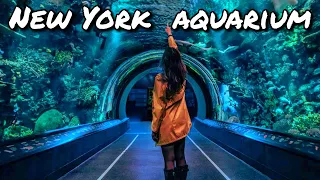 ⁴ᴷ New York Aquarium Tour in Coney Island + New York Aquarium Aquatheater Show (July 16, 2021)