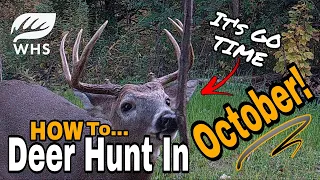 October Deer Hunting Tips