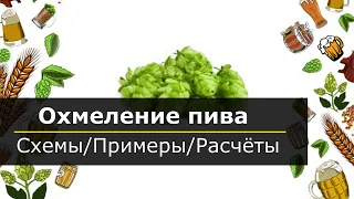 Охмеление пива, схемы, примеры, расчёты.