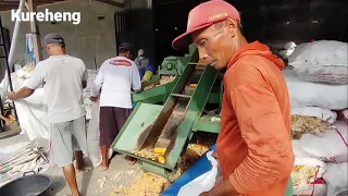 Mesin perontok Jagung || Giling Jagung Glondong P 27 Hasilnya Bagus