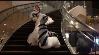when the elevators at the furry convention are backed up | FWA 2023