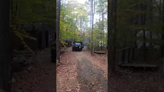 Old ford diesel pulling down tree