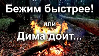 Бежим быстрее! или Дима доит...