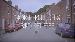 Northern Lights - Bird Set Free - Sia - A Cappella Cover