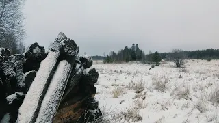 Заброшенная деревня в Карелии.