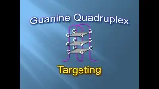 Guanine Quadruplex-Targeting | Easy Learning | illustrated animations.