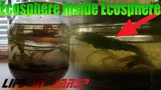 An ecosphere inside of another ecosphere! - 1/2/3/4K Subscriber special