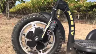 MULTI-POINT Off Road Electric Scooter by RMB EV