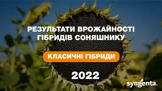 Результати врожайності класичних гібридів 🌻 соняшнику 2022