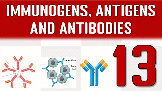 IMMUNOGENS, ANTIGENS AND ANTIBODIES