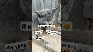 Никому я не нужен😿😿😿