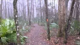 Florida Trail 2014 HD2