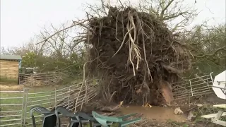 Weather Events - Storm Dudley aftermath + Red alert Storm Eunice (4) (UK) - ITV - 17 February 2022