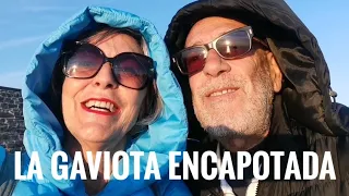 La GAVIOTA ENCAPOTADA JULIO 2022 #418